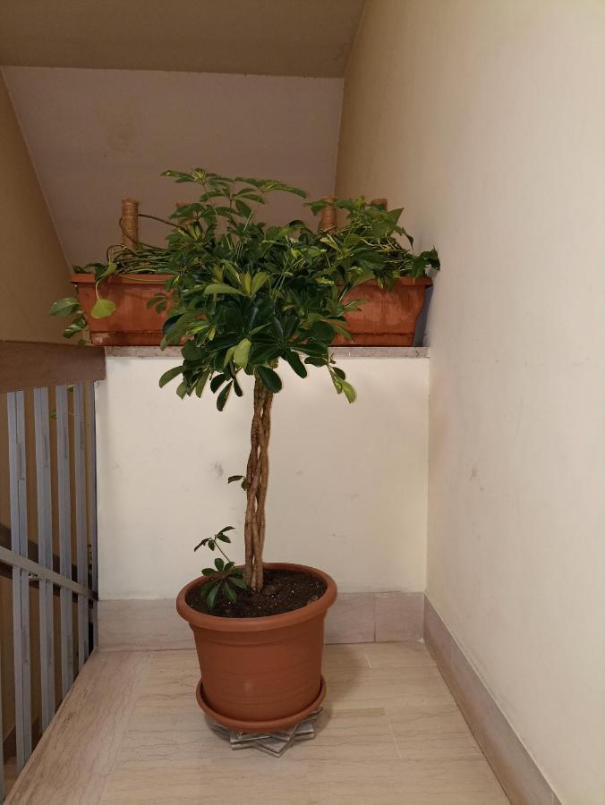 A&C Talenti Diamond Apartment Roma Exterior foto